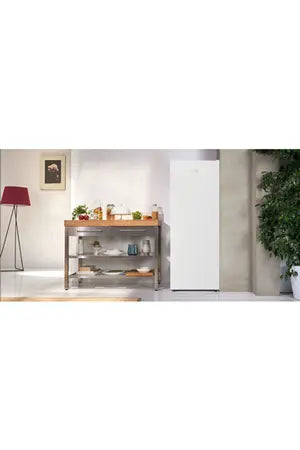 Beko RFNE200E30WN congélateur Armoire