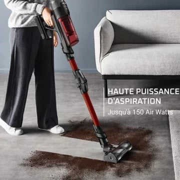 Aspirateur balai							ROWENTA				X-force Flex 13.60 animal RH9A73WO