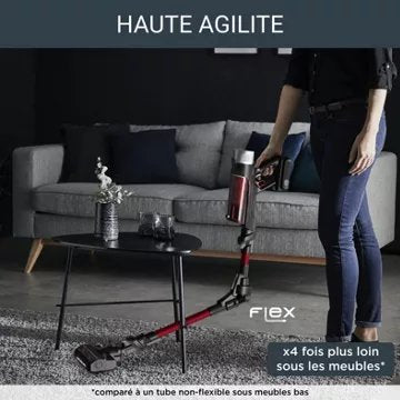 Aspirateur balai							ROWENTA				X-Force Flex 9.60 Kit Animal RH2079WO