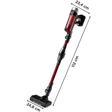 Aspirateur balai							ROWENTA				X-Force Flex 9.60 Kit Animal RH2079WO