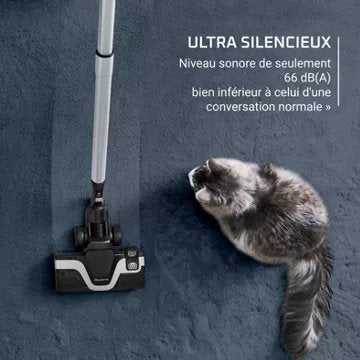 Aspirateur sans sac							ROWENTA				Green force cyclonic effitech+ RO7C71EA