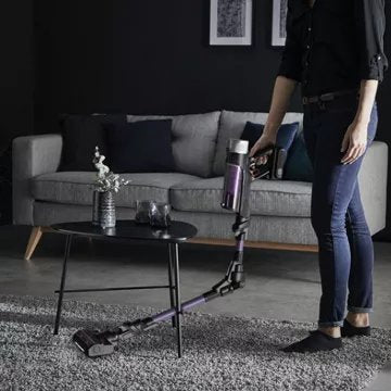 Aspirateur balai							ROWENTA				X-Force Flex 9.60 Kit Allergie RH2039WO