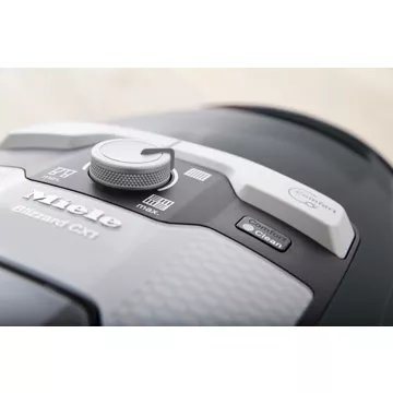 Aspirateur sans sac							MIELE				Blizzard cat and dog Flex Powerline