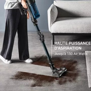 Aspirateur balai							ROWENTA				X-force Flex 13.60 Animal aerospin