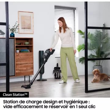 Aspirateur balai							SAMSUNG 				Bespoke Jet Plus Complete 2 Batteries VS20B95B43N