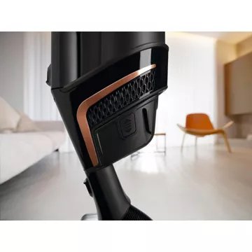 Aspirateur balai							MIELE				Triflex HX2 Cat-Dog