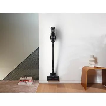 Aspirateur balai							MIELE				Triflex HX2 Cat-Dog