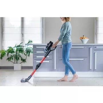 Aspirateur balai							EZICLEAN				Cycloboost FR8 Flex