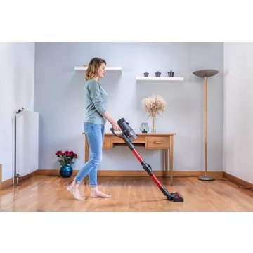 Aspirateur balai							EZICLEAN				Cycloboost FR8 Flex