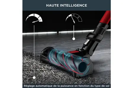 Rowenta aspirateur Balai x Force Flex 12.60 Kit Animal RH98A9WO