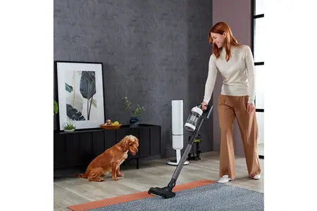 Samsung aspirateur Balai Bespoke Jet Plus Complete VS20B95C43W