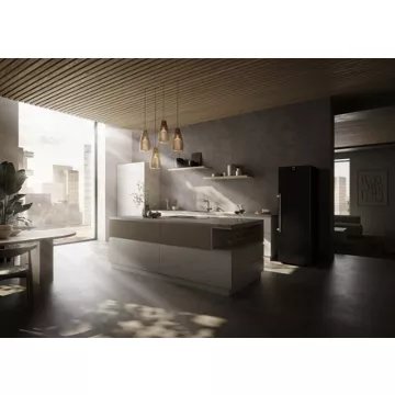 Cave à vin polyvalente							LIEBHERR				WSbsi5252