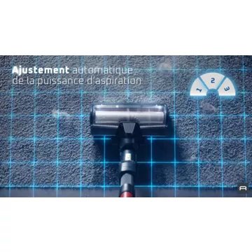 Aspirateur balai							ROWENTA				X-force Flex 13.60 animal RH9A73WO