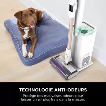 Aspirateur balai							SHARK				DetectPro avec base de vidage automatique IW3611EU
