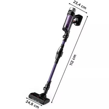 Aspirateur balai							ROWENTA				X-Force Flex 9.60 Kit Allergie RH2039WO
