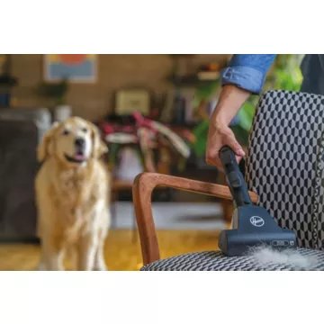 Aspirateur avec sac							HOOVER				HE720PET H-Energy 700