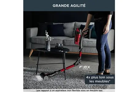 Rowenta aspirateur Balai x Force Flex 12.60 Kit Animal RH98A9WO